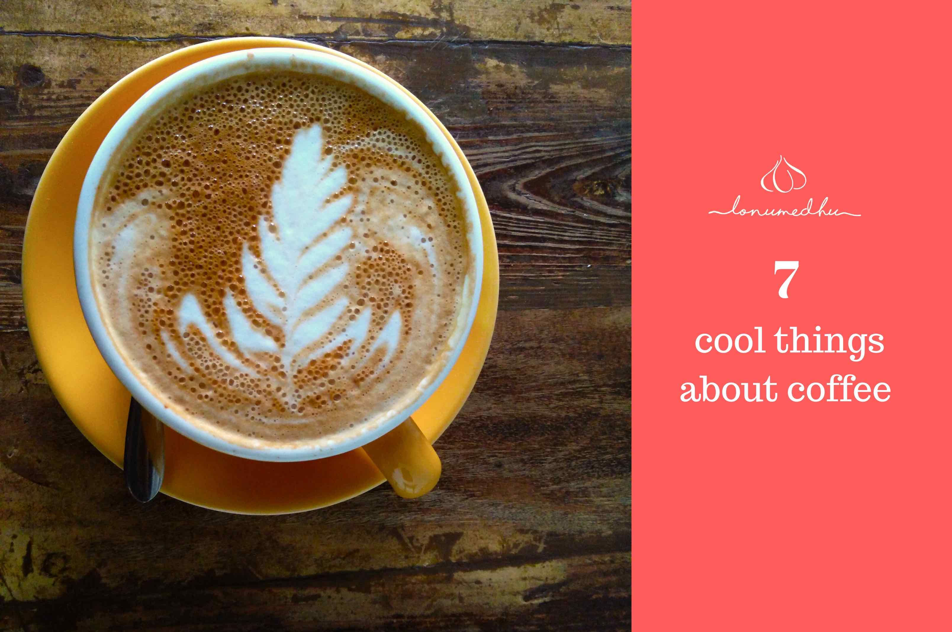 7 Cool Things About Coffee Lonumedhu